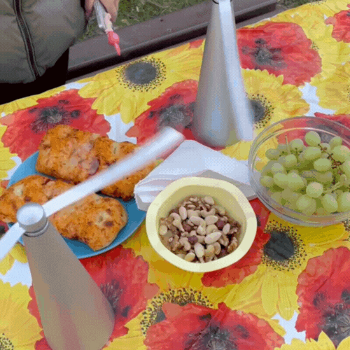 Fly Repellent Fan-TidyHome