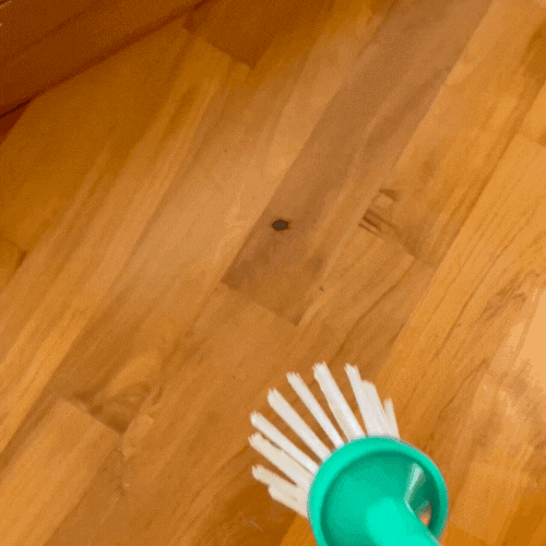 Folding Insect Catcher Tool-TidyHome